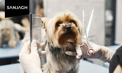 نقاشی ساختمان