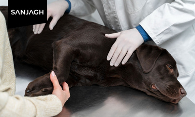 نظافت راه پله و فضای مشاع